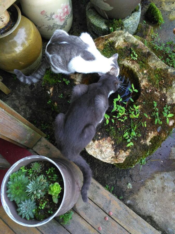 Flowers Residence Nguyên Dương Ngoại thất bức ảnh